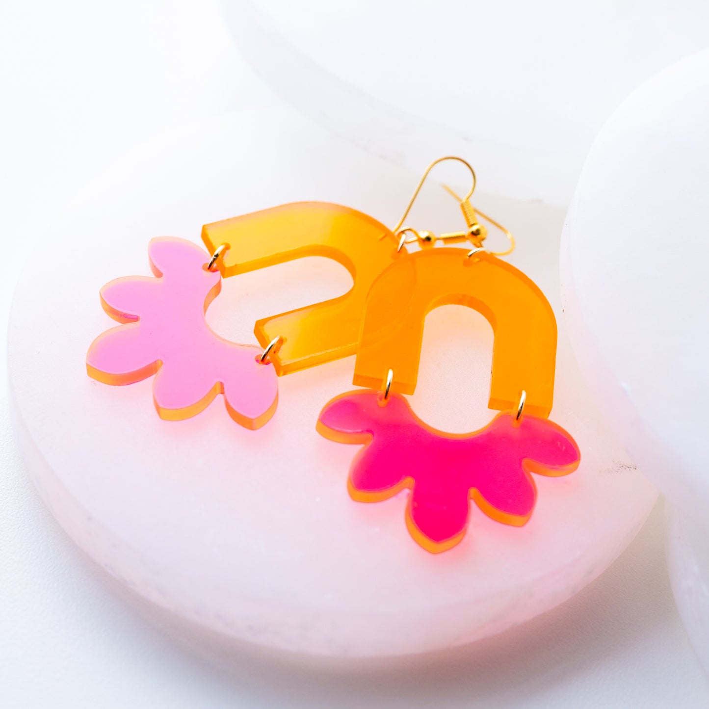 Fluorescent Arch over Scallop